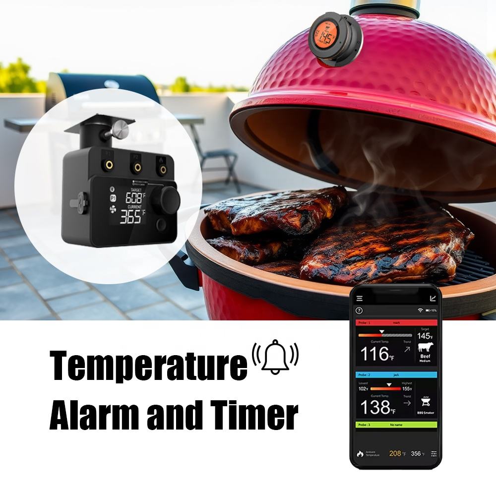 Wireless Bluetooth Meat Thermo - Electric Smoker Bbq 评论和价格