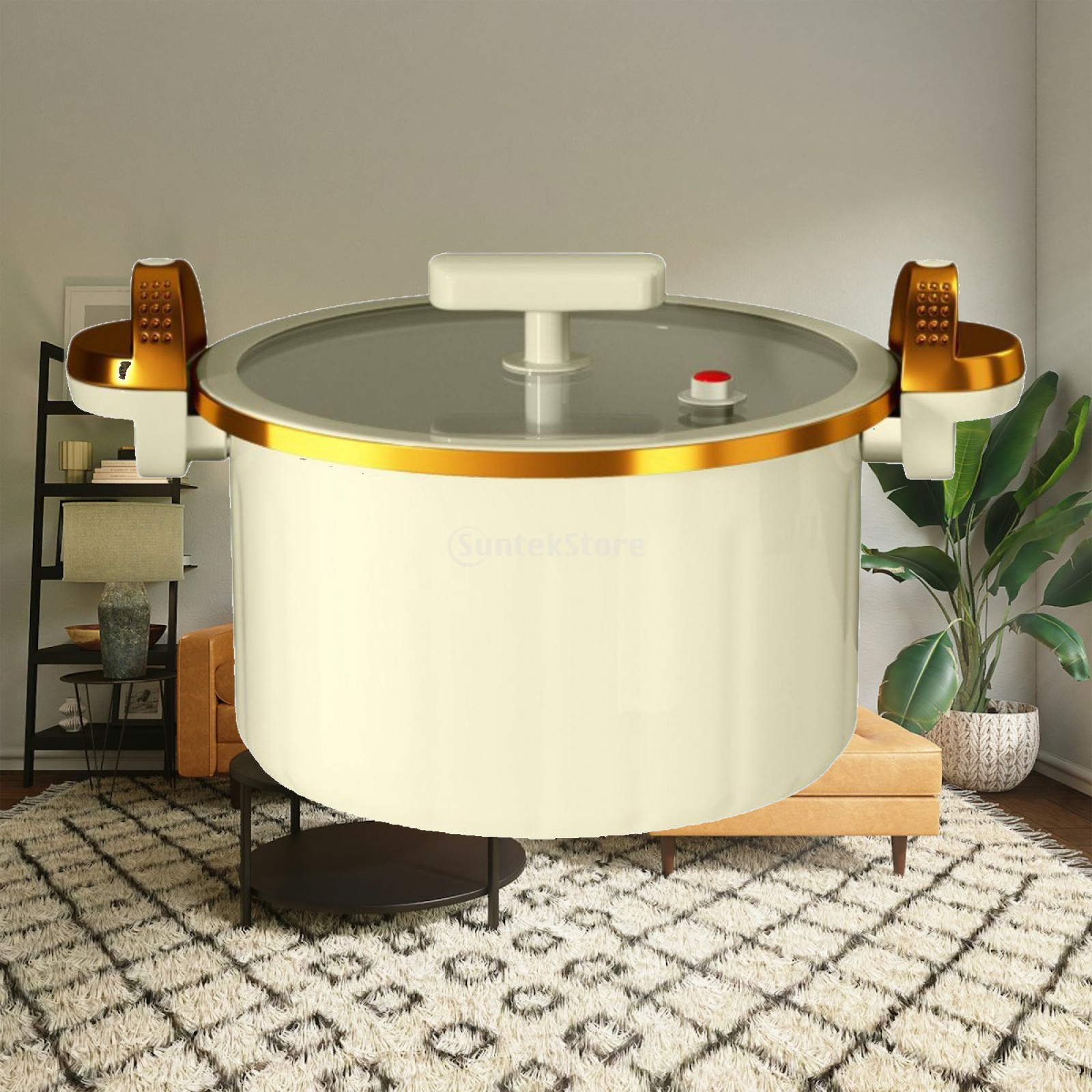 Micro Pressure Pot Stewing Boi - Instant Pot Pressure Cooker 评论和价格