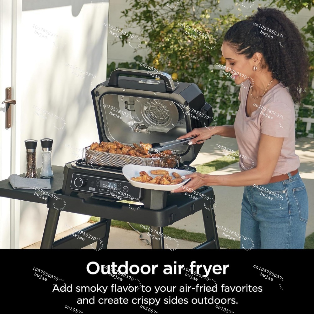Ninja Wood--ireProXL 4-in-1 Ou - Electric Smoker Bbq 评论和价格