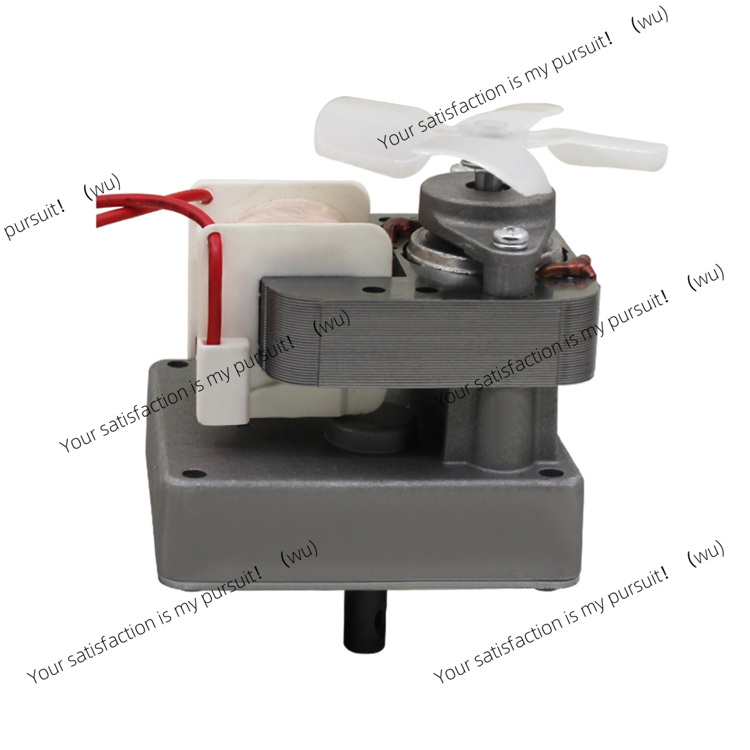 220V 2.0 rpm Replacement Auger - Electric Smoker Bbq 评论和价格